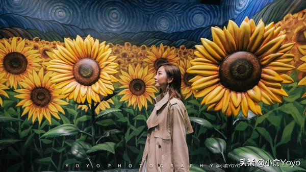 济州岛最值得去的地方,来济州岛第一天去哪玩