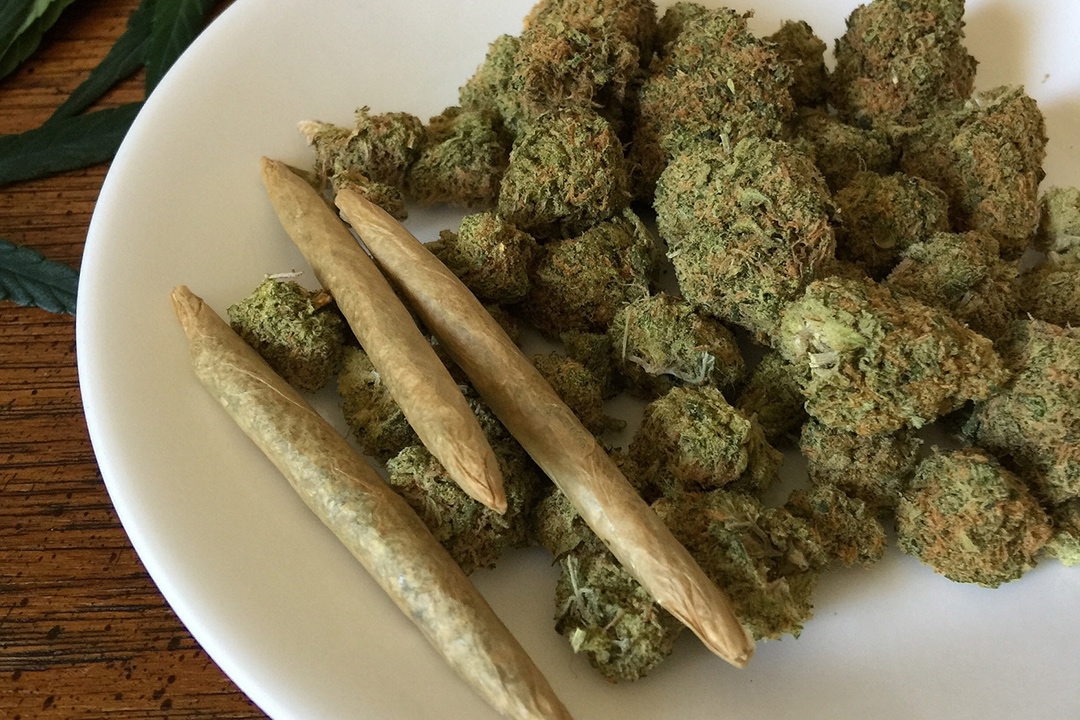 毒检知识：*麻大**，罪恶之种