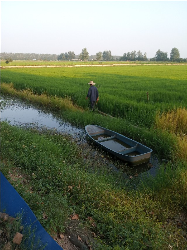 小龙虾养殖每亩的成本与真实利润,小龙虾养殖技术成本与利润新手