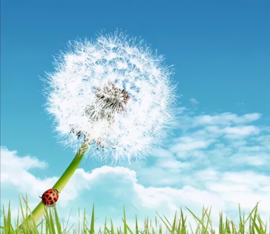 搞笑段子：骑上我心爱的小乌龟