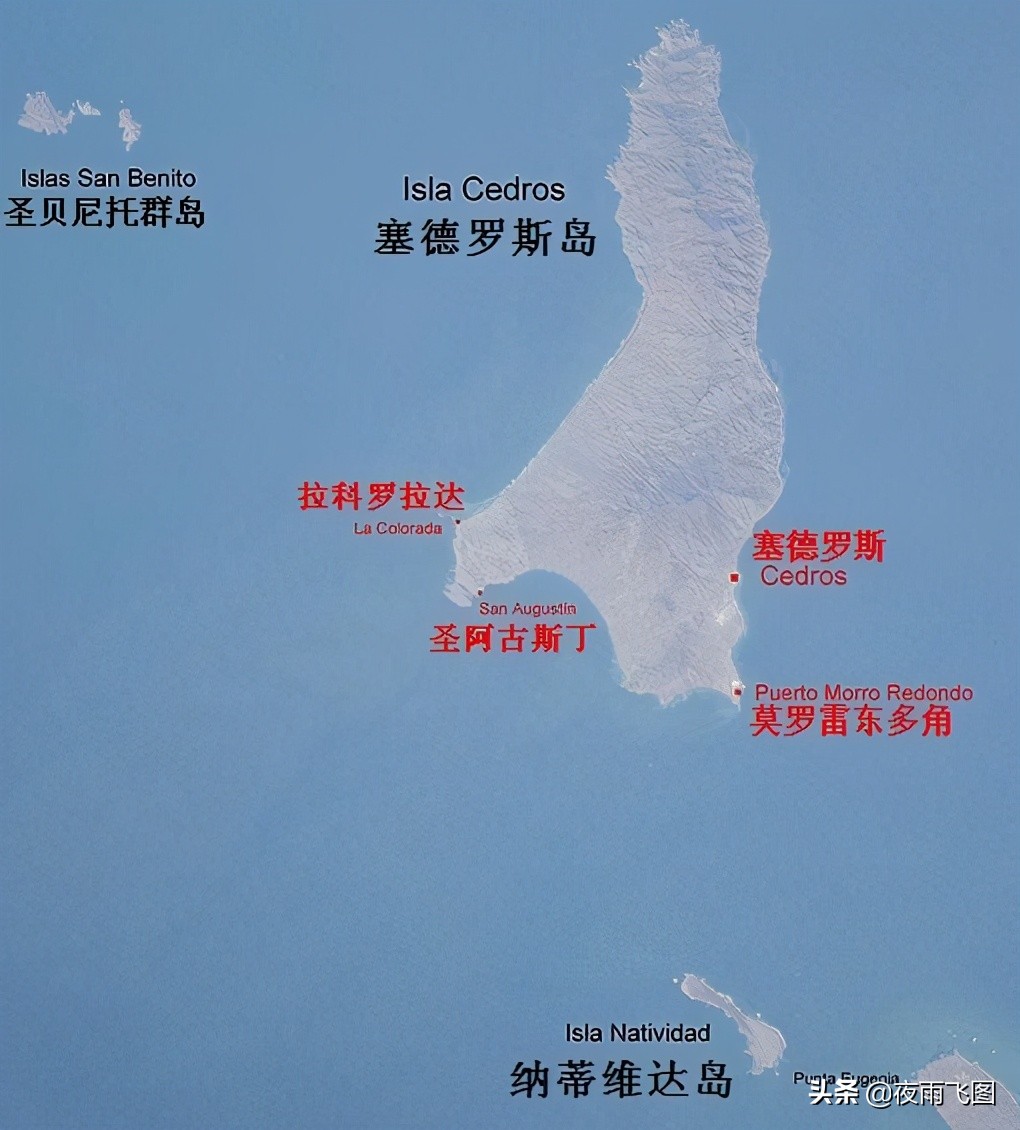 拇指仙女杯配图比例,拇指仙女杯的视频