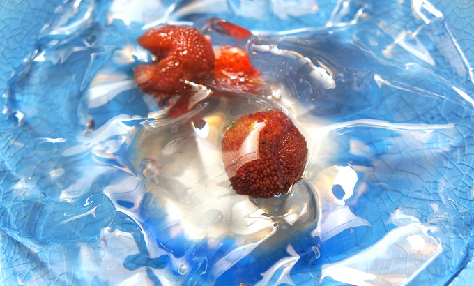 法格蒸烤箱和凯度蒸烤箱哪个好,凯度蒸烤箱都能做啥