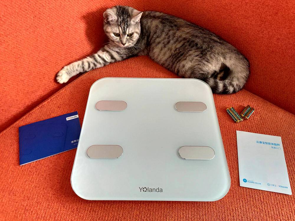 云康宝体脂秤蓝牙和wifi区别,云康宝和华为八电极体脂秤评测