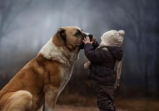 小时候被吓到有心理阴影怎么办,小时候受到惊吓怎么解决