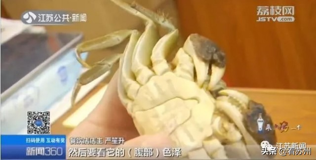 中秋节阳澄湖大闸蟹什么价格,中秋节为什么要吃阳澄湖大闸蟹