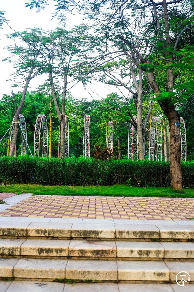 2000万在深圳能买到别墅吗,2000能在深圳租到怎样的房子