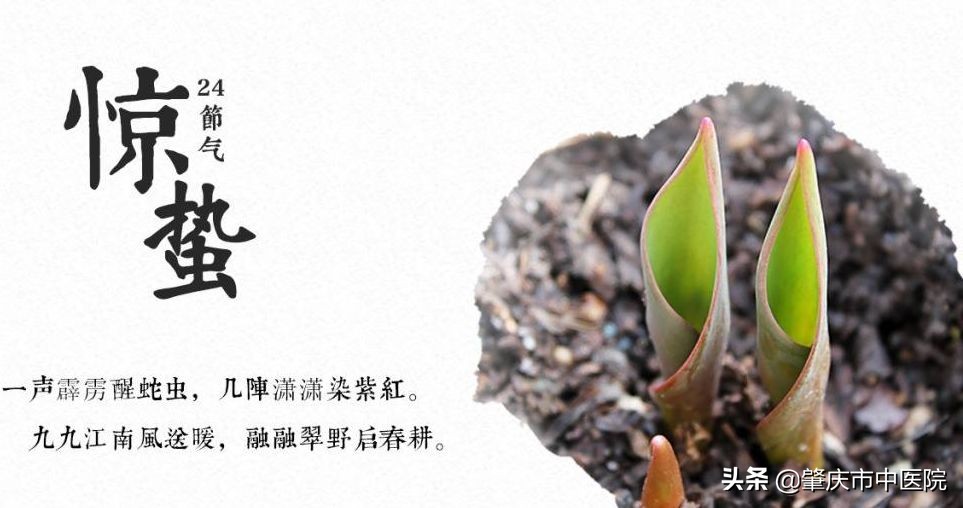 春季养肝护脾汤,春季健脾养肝你必须要煲的养生汤