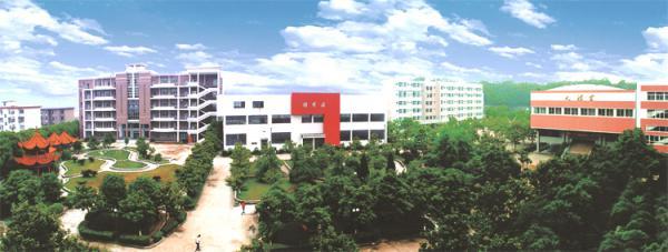 湖南科技职业学院中职部,湖南电子科技职业学院中职部
