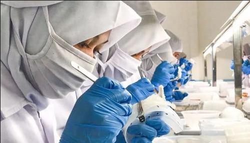 燕窝的小碎毛挑不干净,燕窝怎么挑粘在上面的毛