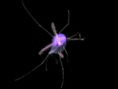 方形紫光灯灭蚊神器,新款灭蚊灯家用物理灭蚊神器