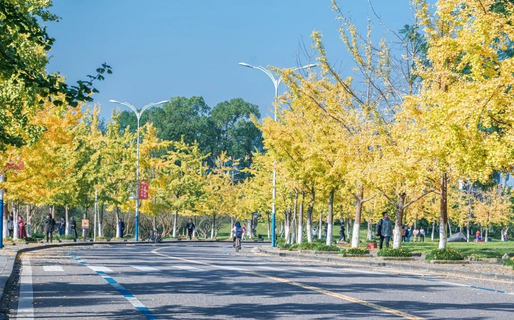 哪个大学帅哥美女最多,校园偶遇的帅哥美女