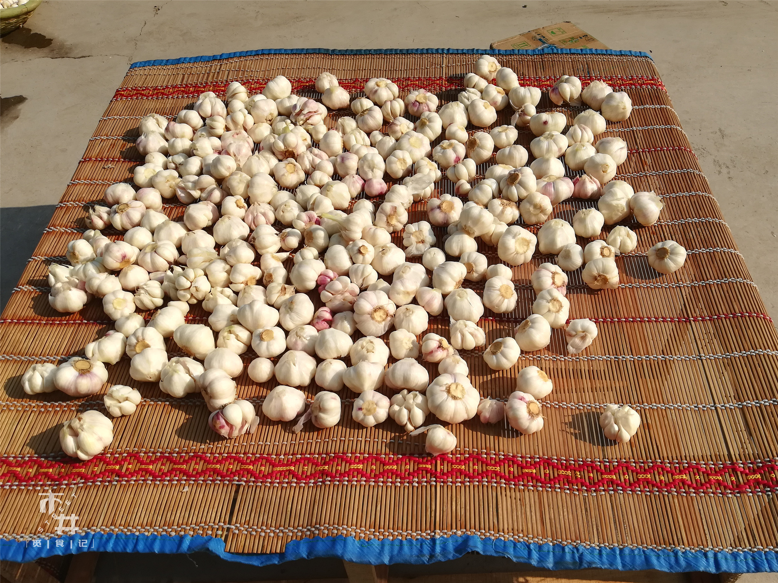 六斤蒜腌糖蒜的正确方法,10斤蒜腌糖蒜方法