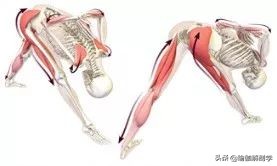 瑜伽18个基本体式,18个瑜伽体式正确图