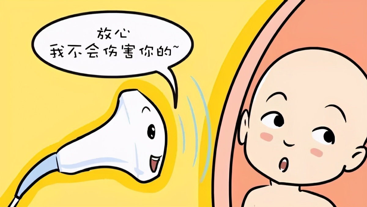 体检医学知识科普,体检检前b超科普视频