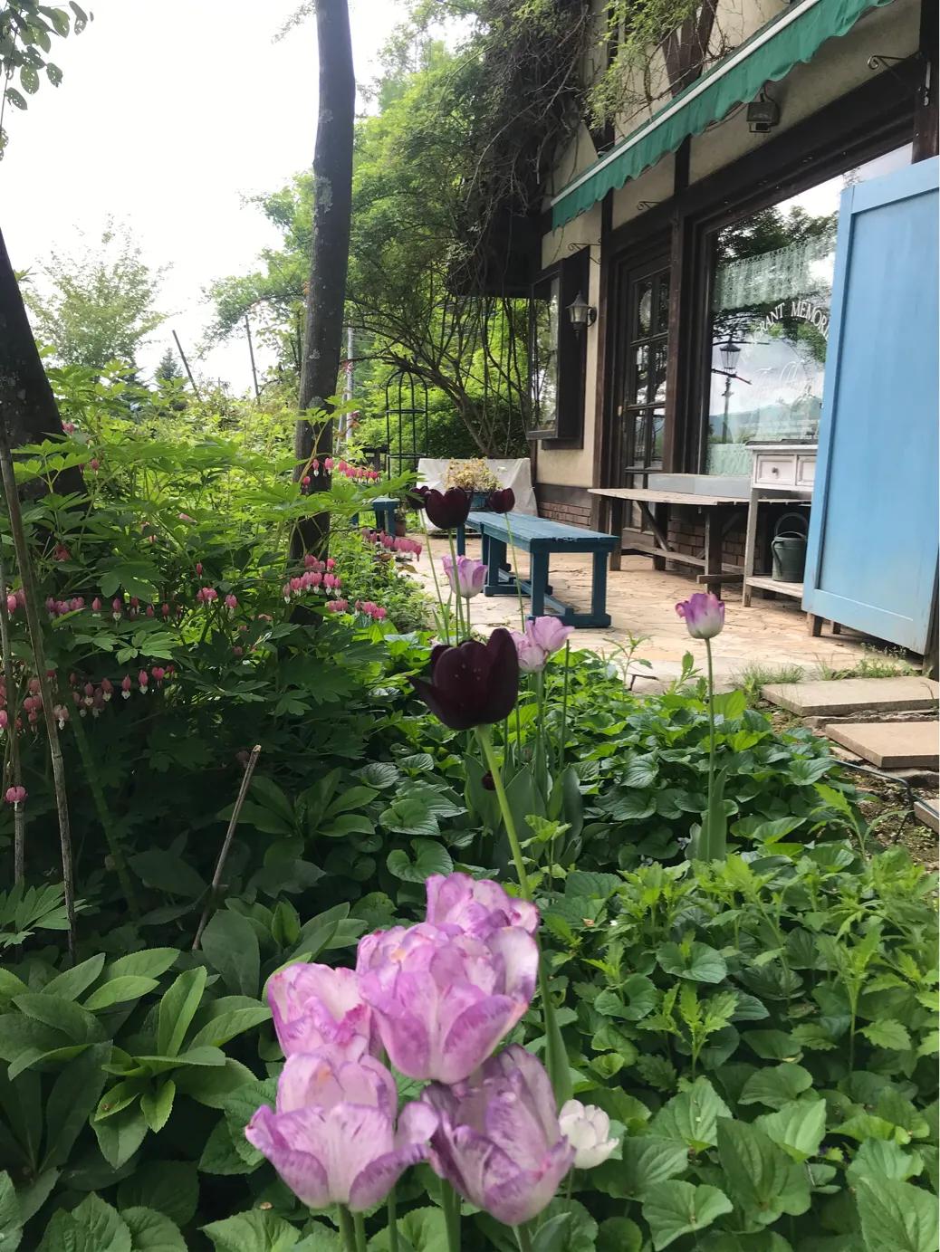 日本疫情举行聚会,日本民众疫情聚会