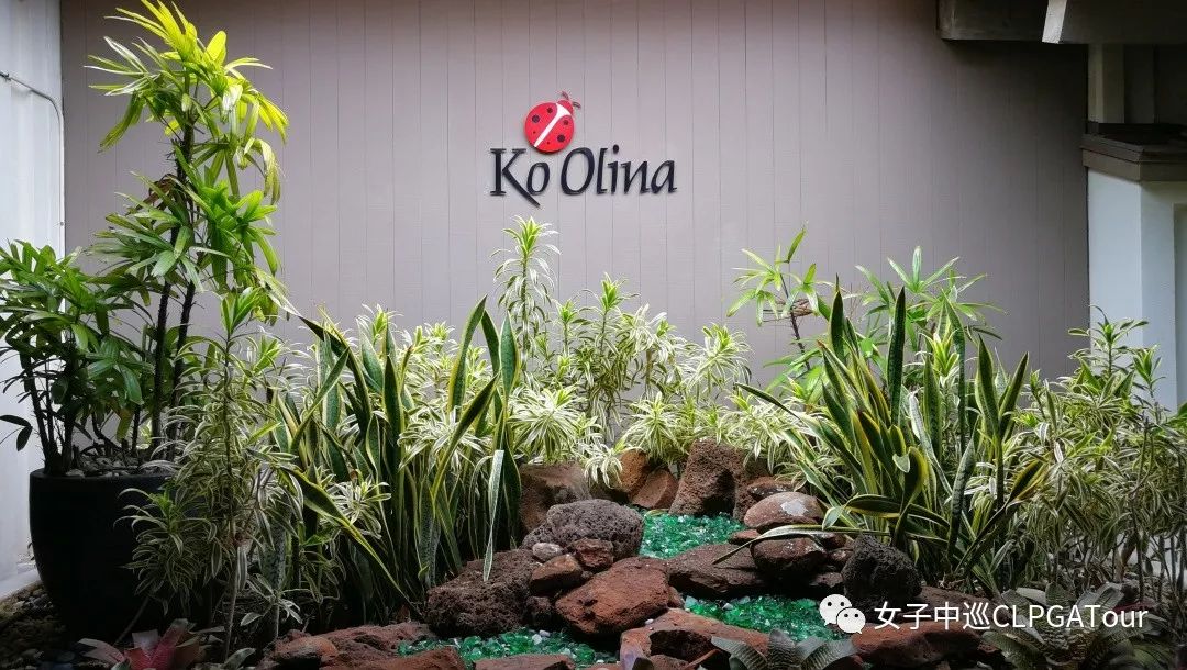 这是一场与高尔夫的热爱之旅!(二)