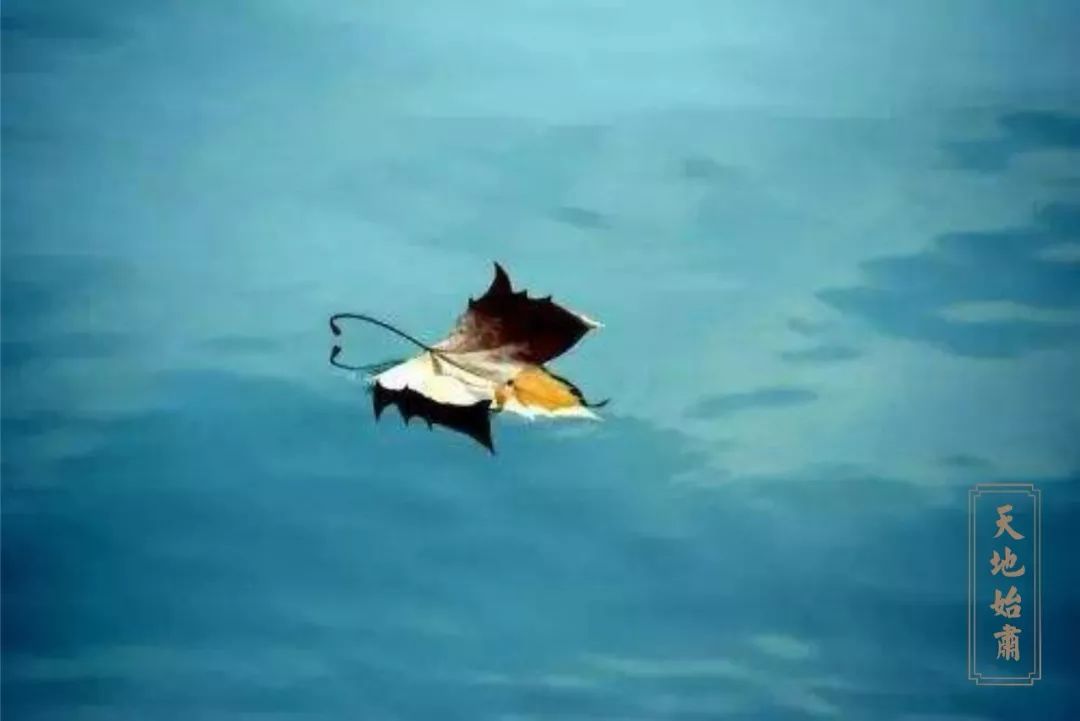 榫欏彛鐢熸椿瀹濆吀,榫欏彛鐢熸椿鎸囧崡