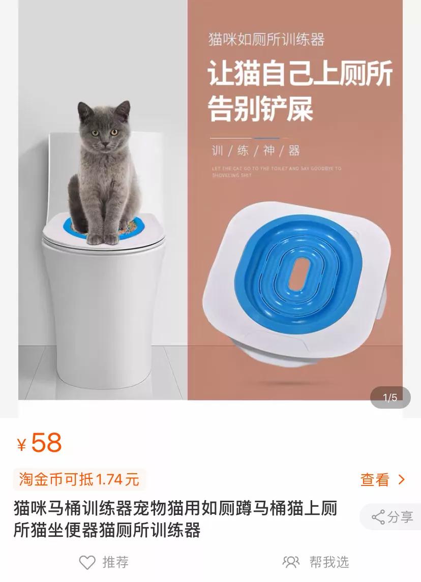 猫乱尿怎么办视频最火,猫乱尿怎么办有什么办法