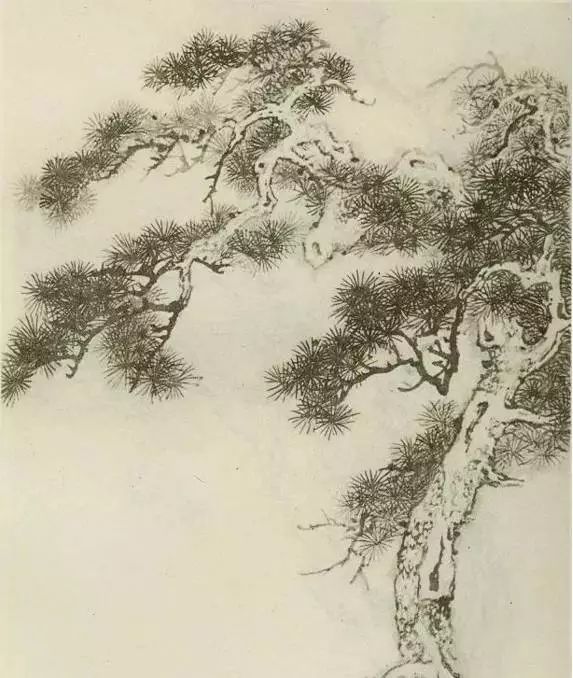 怎样画树画得好看,怎么画树最简单而且还最好看