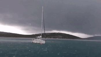 550只羊被雷劈死,500头羊被闪电劈死