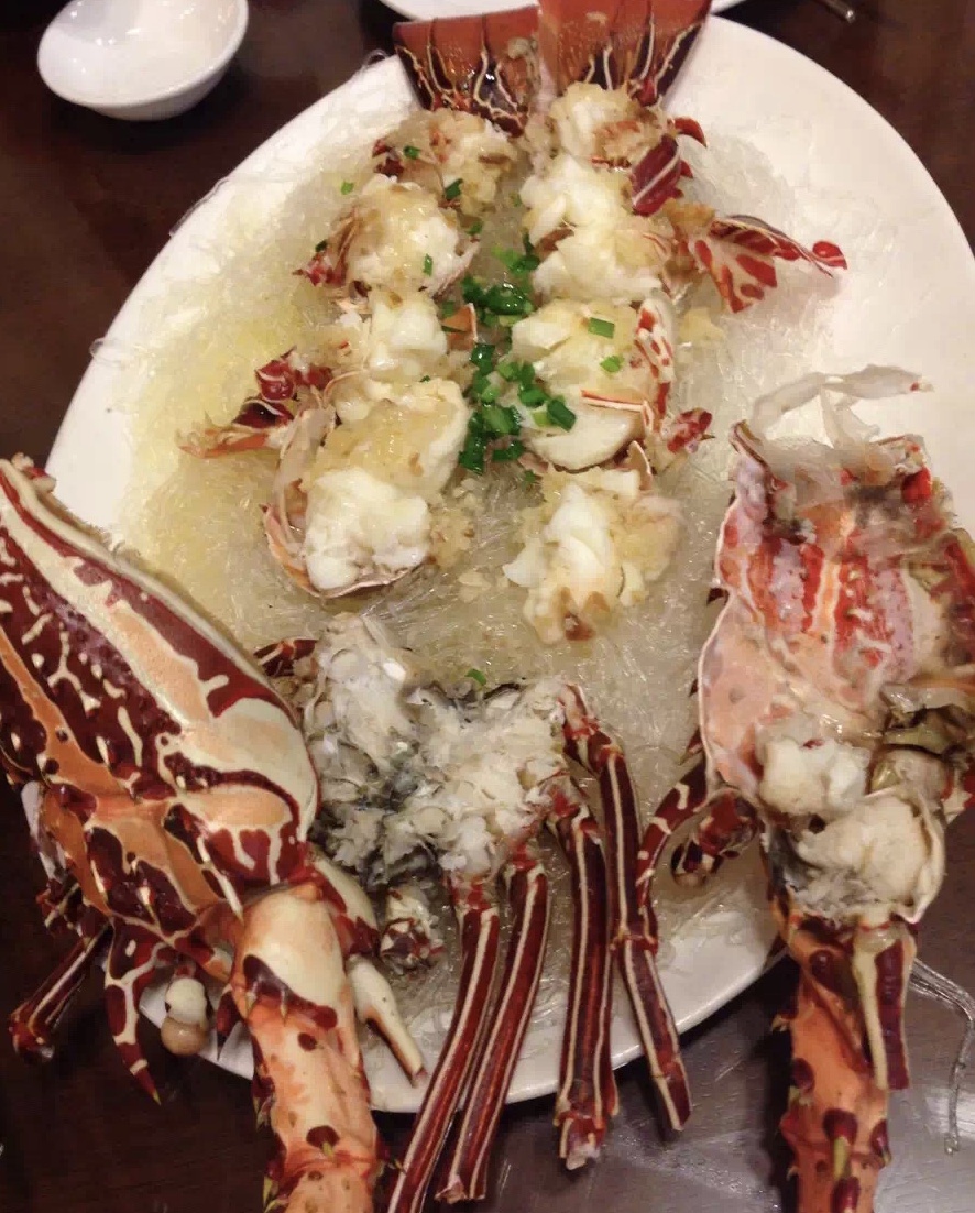 帕劳旅游十大攻略,帕劳上帝的水族箱