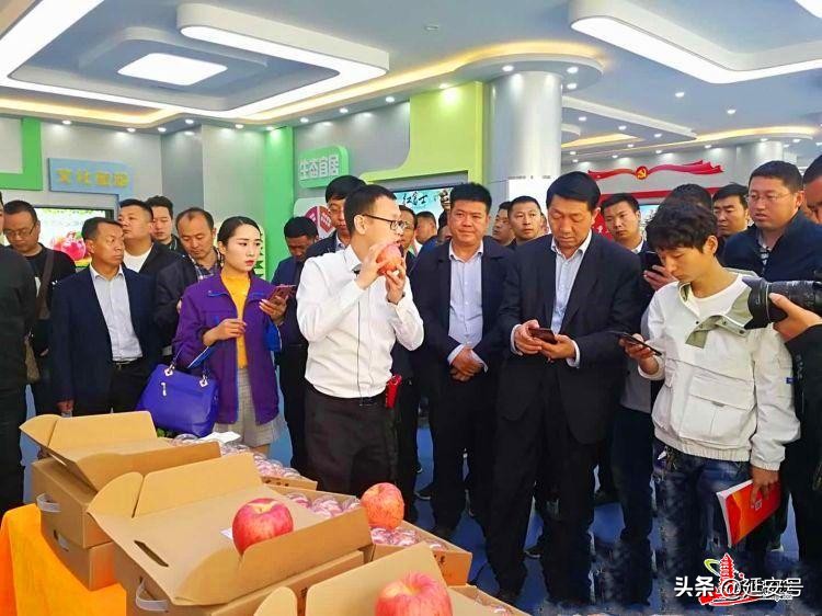 鍔涢噺2020,鍔涢噺2022