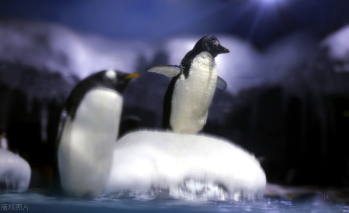 五一自驾游推荐景点武汉,武汉适合周末出游的地方