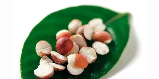 白洋淀荷塘三宝怎么吃,白洋淀特产三宝简介