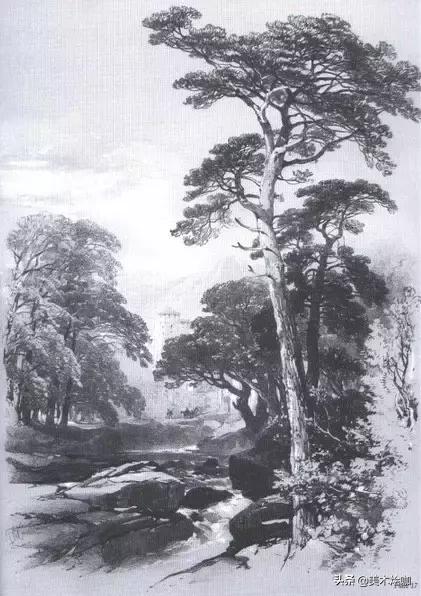 静物素描风景图临摹,简单又好画的彩铅素描风景图