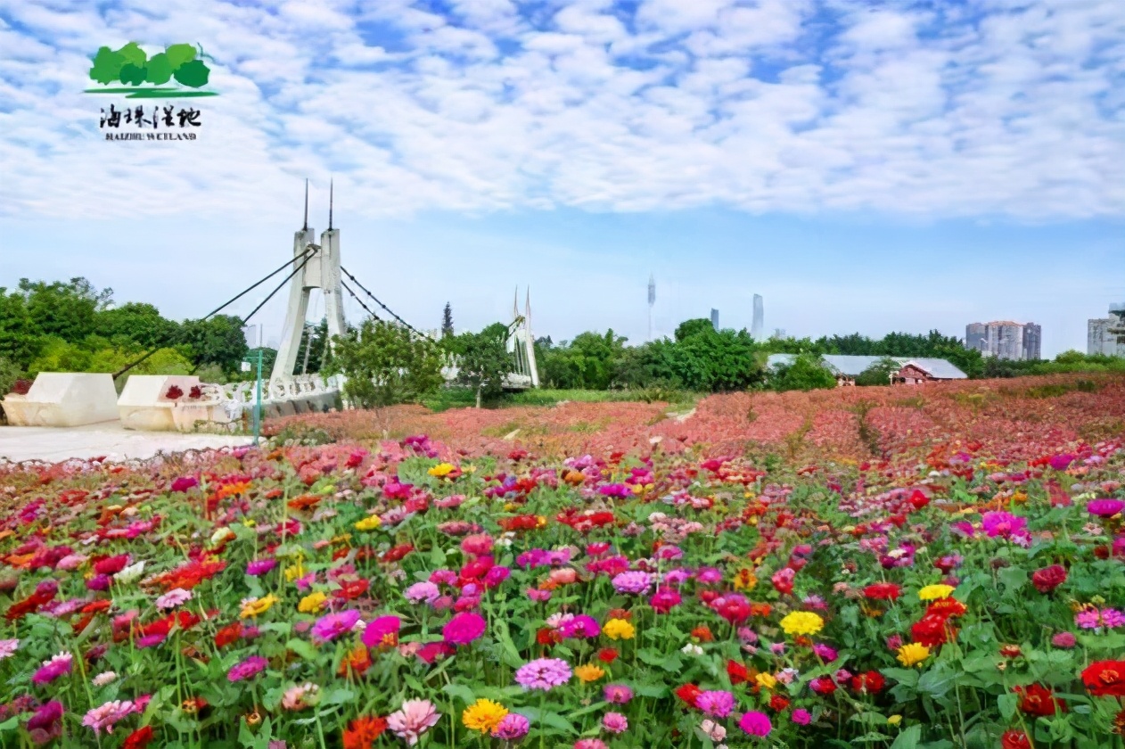 宝藏新公园周末好去处快来打卡,必打卡的宝藏公园