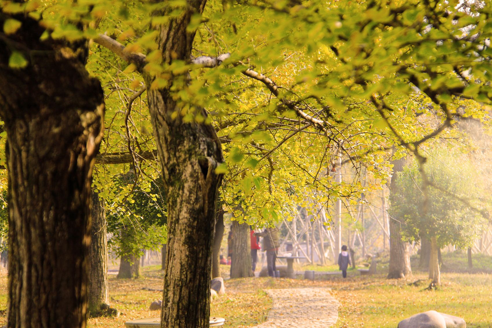 依山傍水说的就是这里,苏浙皖三省交界的长兴,是个低调的好地方