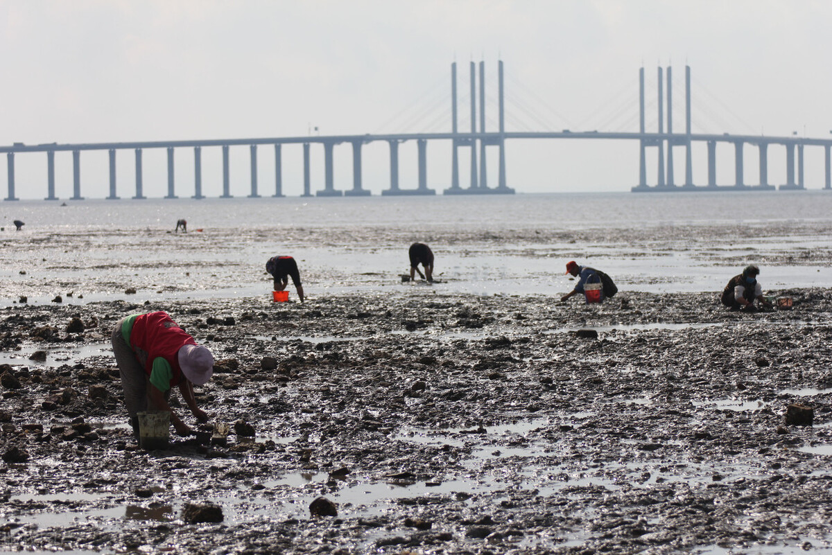 青岛国棉九厂历任厂长,青岛国棉六厂细纱车间视频