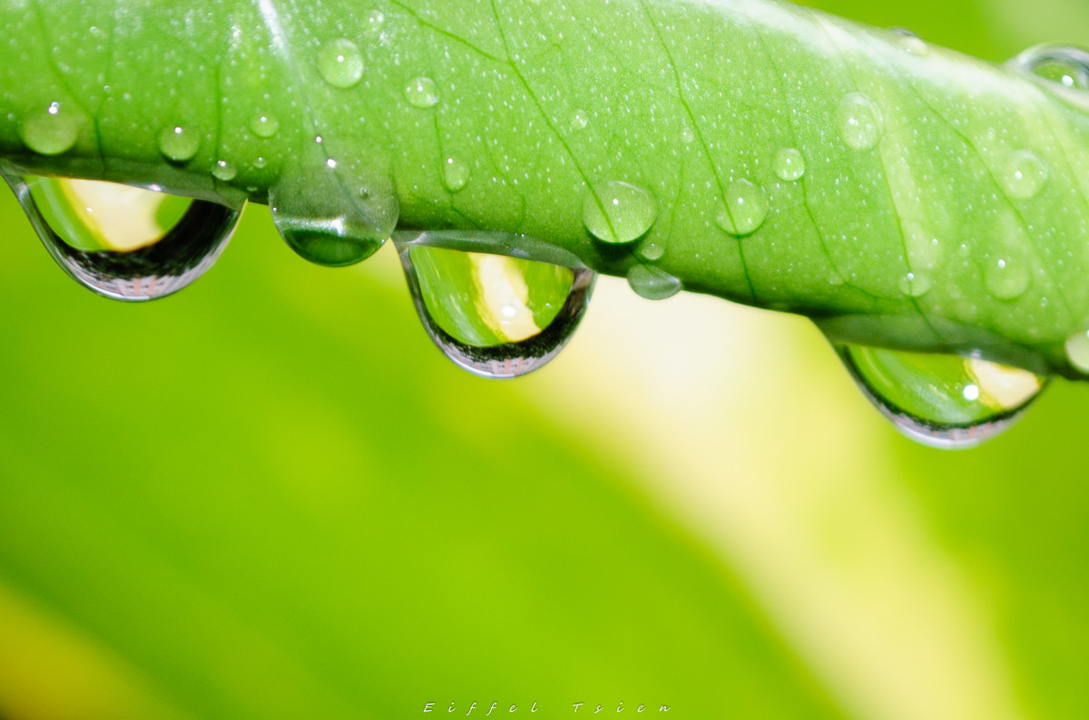 似水年华散文经典,似水流年散文