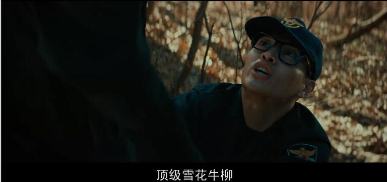 韩国犯罪电影老韩和警察成了兄弟,电影推荐韩国黑帮青年警察