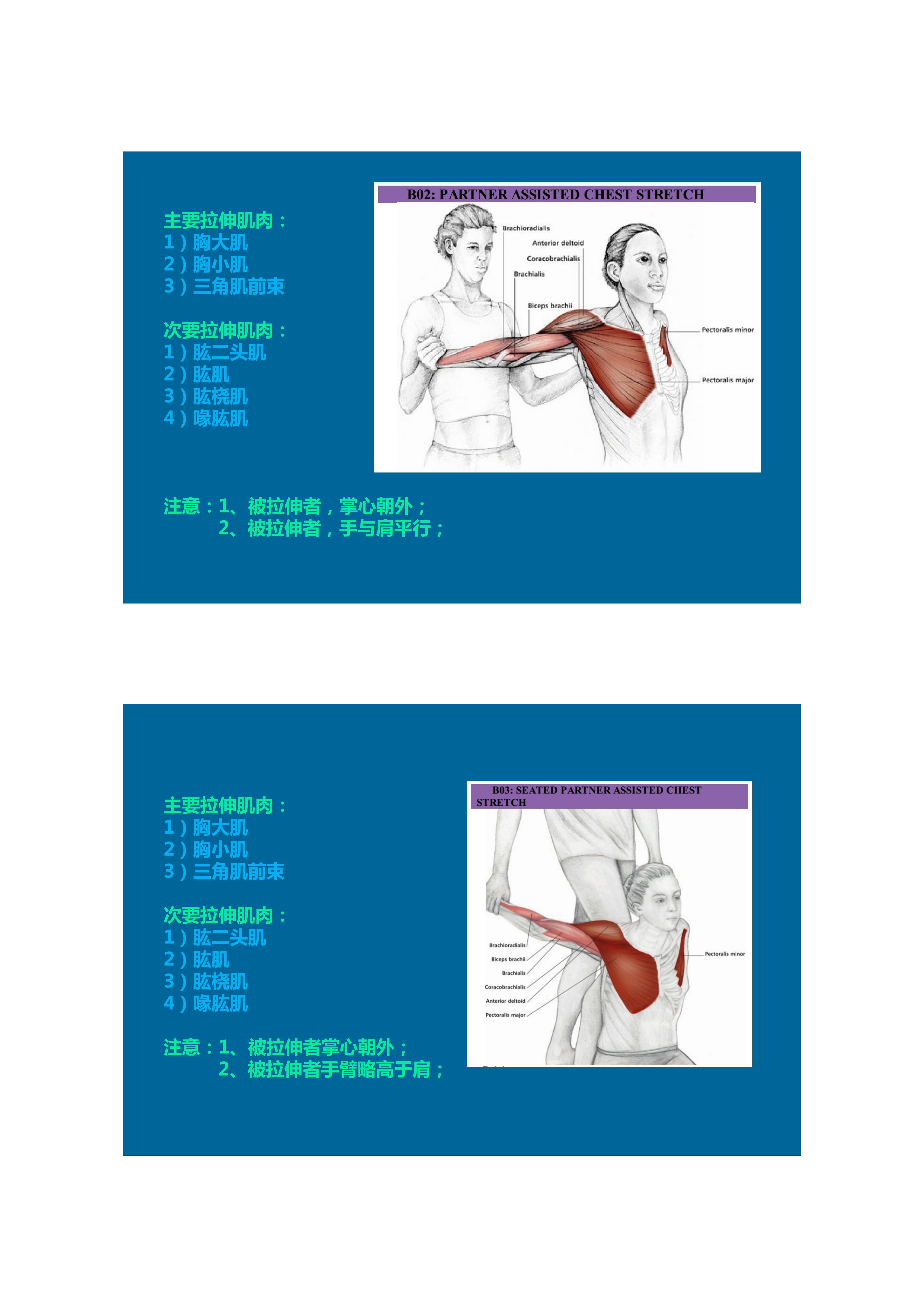 1分钟拉伸动作视频,拉伸腿部技巧