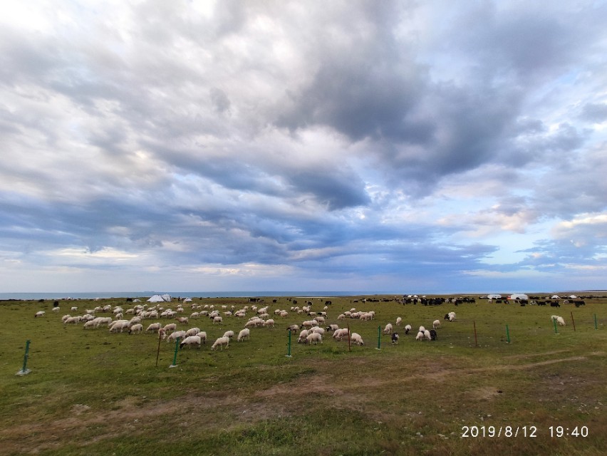 成都到茶卡盐湖旅游攻略,成都出发茶卡盐湖5日游