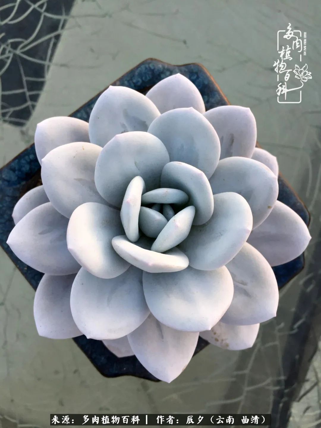 缂辩换鏃栨棊钁宠暏鐢熼,缂辩换鏃栨棊钁宠暏鐢熼鍑哄