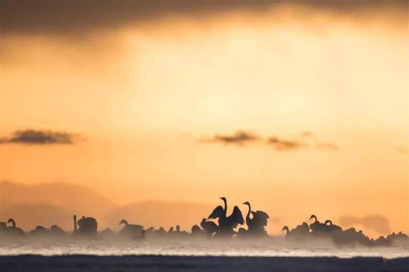 来感受大西北的异域风情,领略一下西北风情