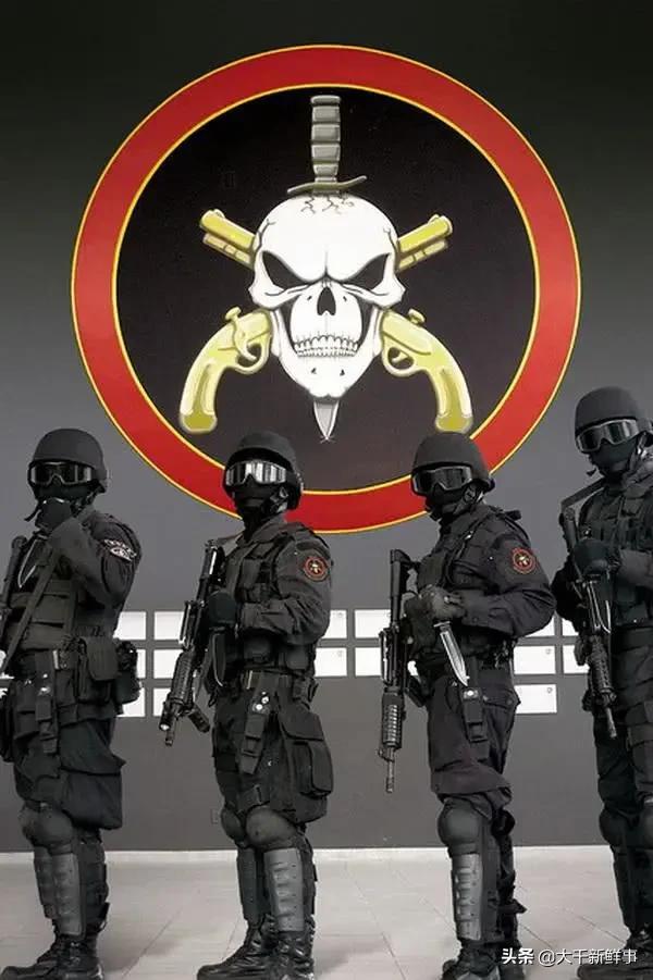 世界十大经典特种作战,世界十大特种部队战绩极为经典