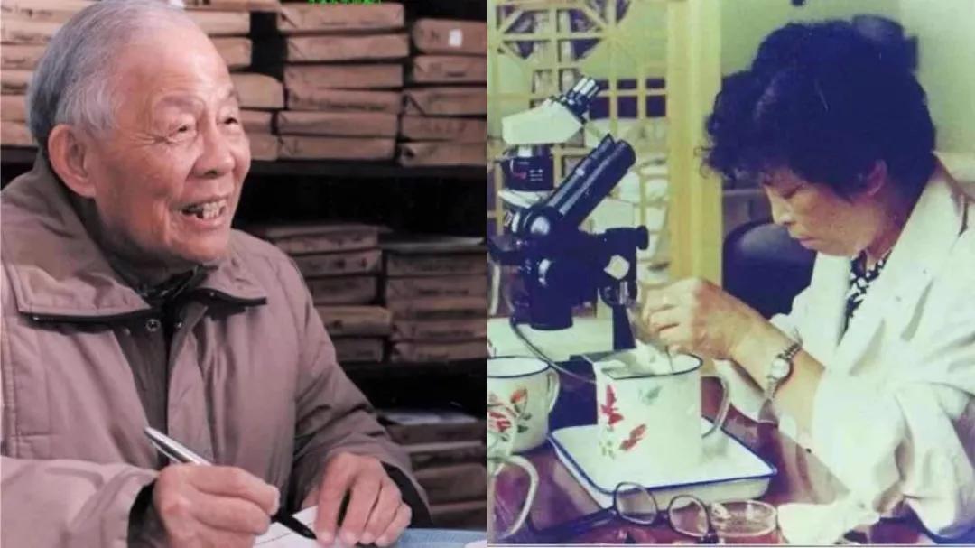 百年厦大视频,百年厦大纪录片