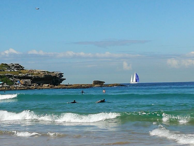 悉尼和墨尔本哪个城市更宜居,悉尼vs上海哪个更适合宜居