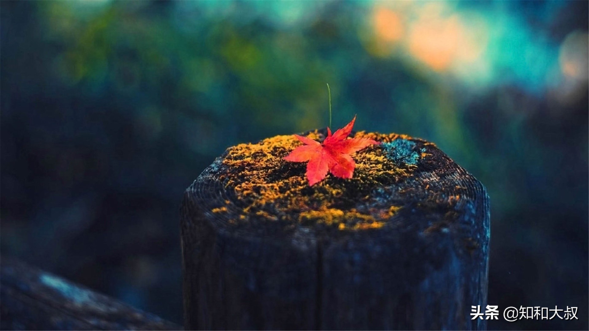 不哭不闹的女人才让人害怕,不哭不闹的女孩反而没人疼没人爱