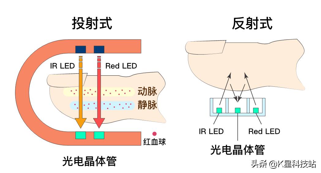 oppo手环活力版睡眠监测准确吗,oppo手环可以检测哪些健康数据
