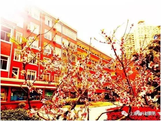 上海全市招生的民办小学多少所,上海市最好的10个民办初中