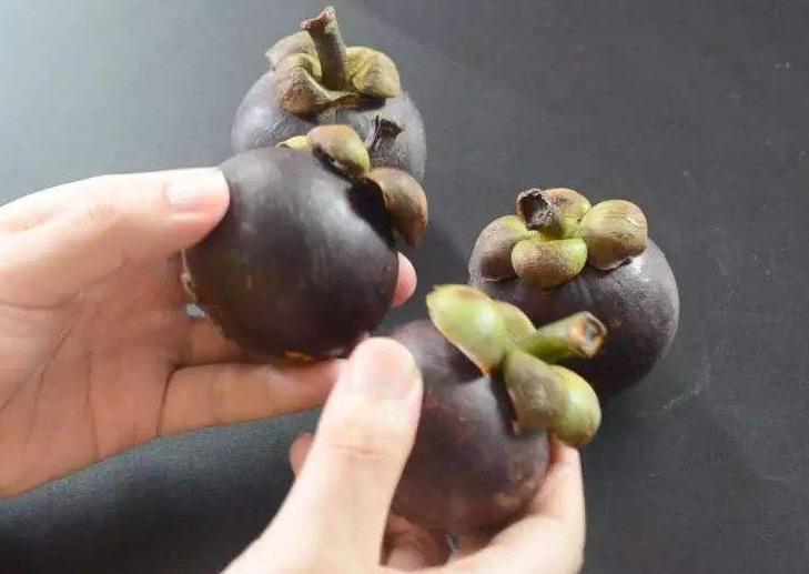 山竹又贵又少,贵的山竹跟便宜的山竹有什么区别