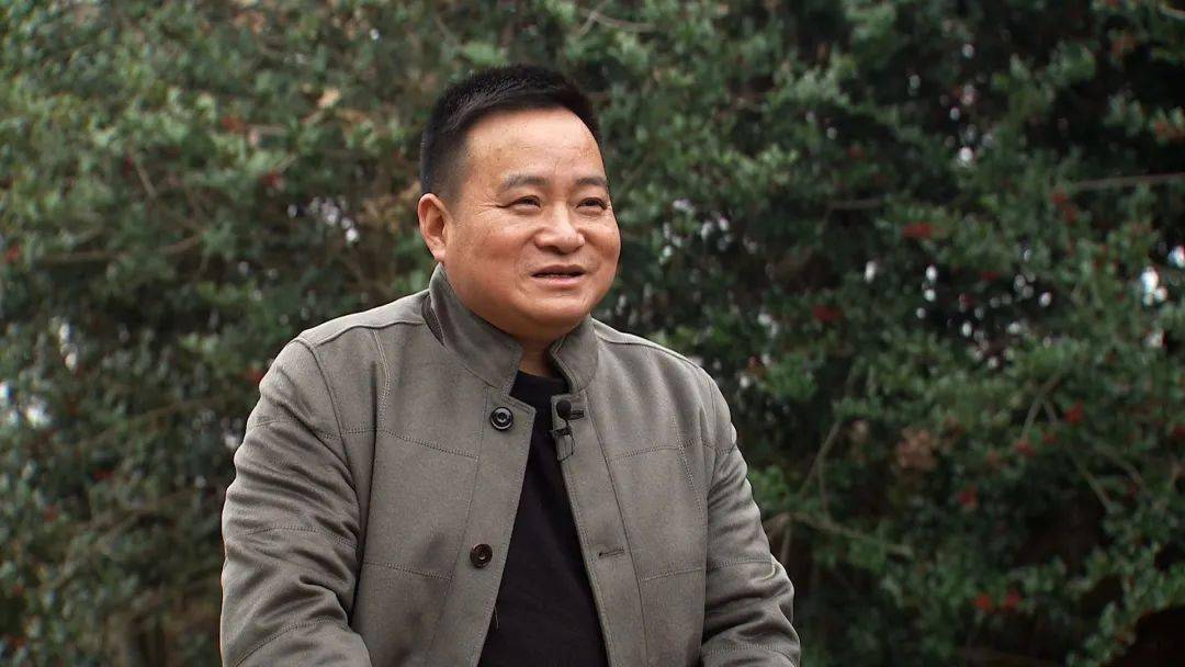 种植致富树的成功案例,农村创业种植什么树赚钱