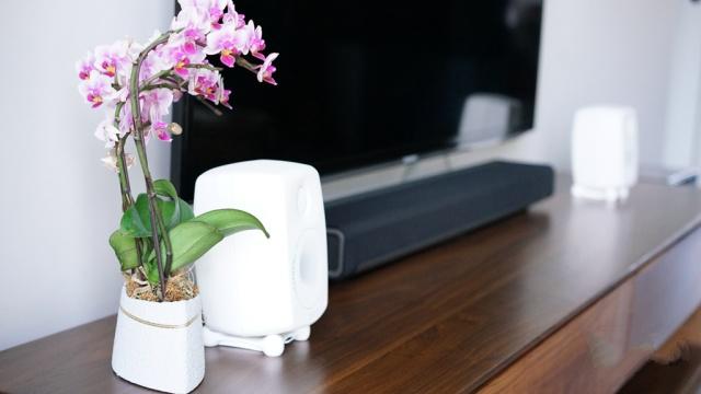 真力音箱和乔布斯,乔布斯智能音箱