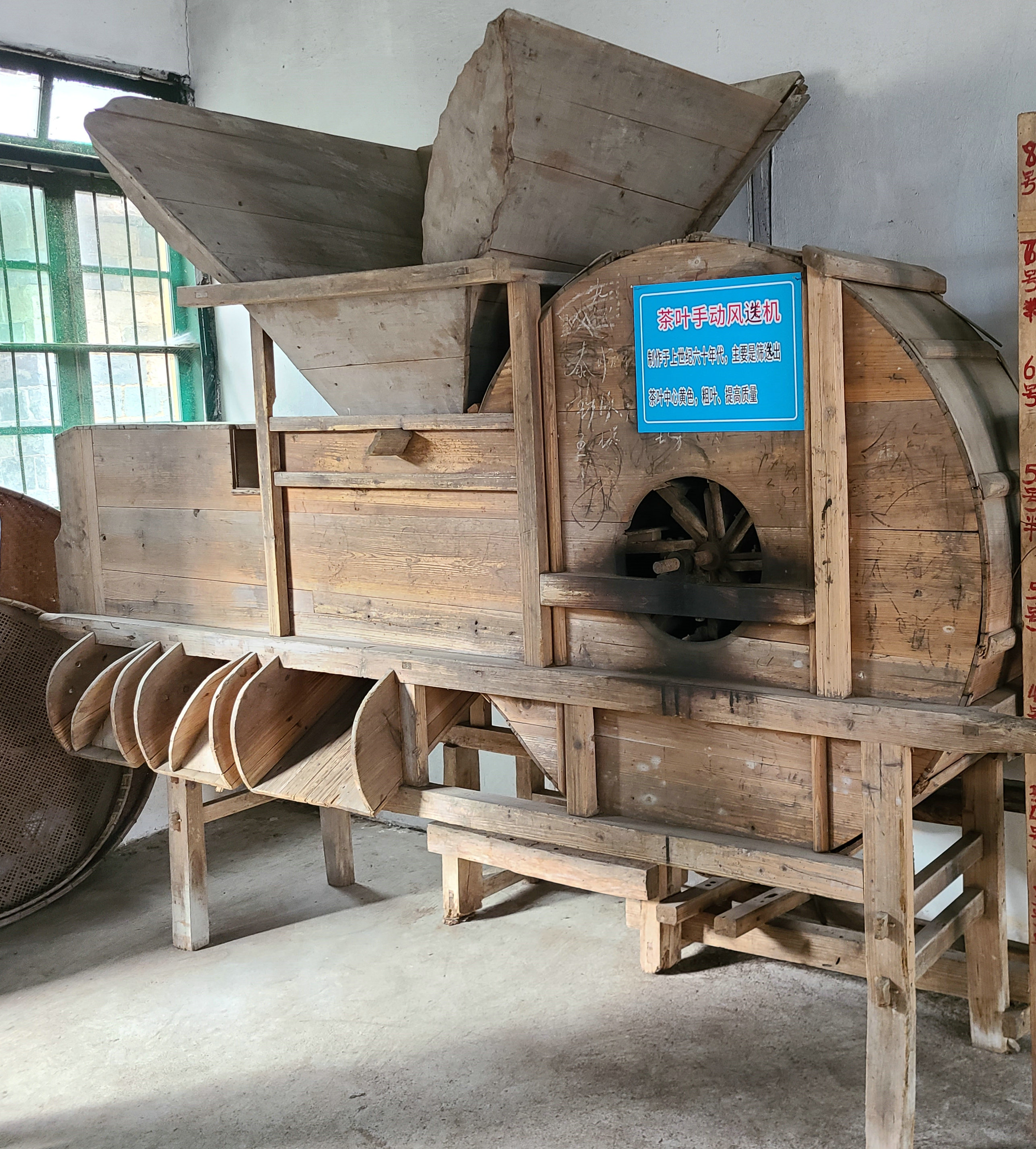 泰顺最出名的茶叶 (泰顺名茶有哪些)