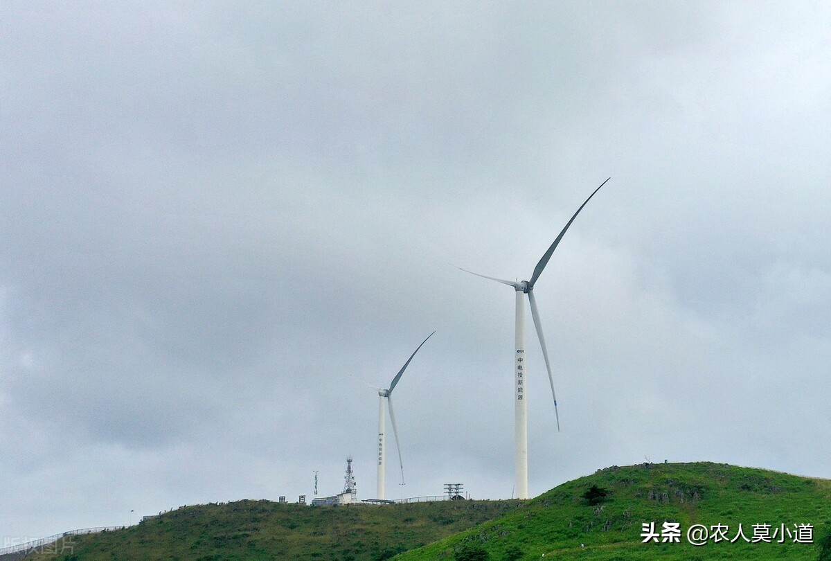 助力乡村振兴搭上快车,抓好乡村振兴机会有什么行业可做