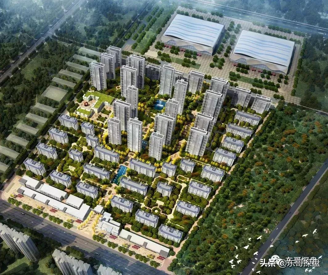 财富的趋势,财富的风口在什么地方